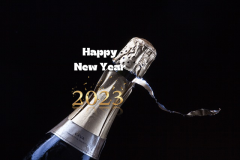 happy new year 2023 cava-.jpg