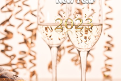 happy new 2023 champagne-7656207_150.jpg