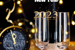 happy new year 2023images champagne-7679665_150.jpg