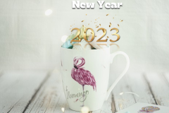 new year greetings 2023 coffee-7653588_150.jpg