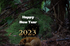 happy new year google hd-wallpaper-.jpg